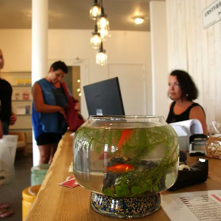 Amsterdam 3* זנדוורט